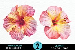 Watercolor Hibiscus Flowers Exquisite Clipart Product Image 1