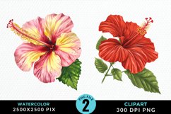 Watercolor Hibiscus Flowers Artwork Clipart Product Image 1