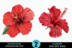 Watercolor Hibiscus Flowers Artwork Clipart Product Image 1