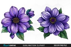 Watercolor Hibiscus Flowers Artwork Clipart Product Image 1