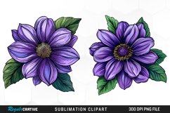 Watercolor Hibiscus Flowers Graphics Clipart Product Image 1