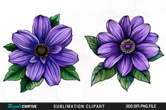 Watercolor Hibiscus Flowers Graphics Clipart Product Image 1