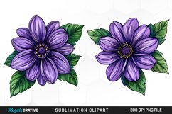 Watercolor Hibiscus Flowers Graphics Clipart Product Image 1