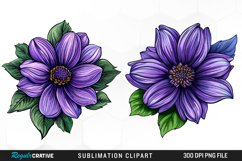 Watercolor Hibiscus Flowers Graphics Clipart Product Image 1