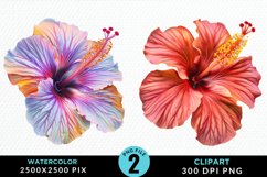 Watercolor Hibiscus Flowers Clipart Bundle Product Image 3