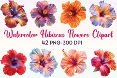 Watercolor Hibiscus Flowers Clipart Bundle Product Image 1