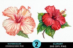Watercolor Hibiscus Flowers Clipart Bundle Product Image 4