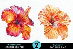 Watercolor Hibiscus Flowers Clipart Bundle Product Image 2