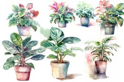 10 House Plants watercolor Clipart bundle, Houseplants Png Product Image 3