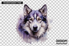watercolor husky clipart, husky dog png, husky sublimation design, dog clipart watercolor, siberian husky art png, husky printable download, pet lover sublimation, cute husky dog clipart, husky digital illustration, husky dog lover design
