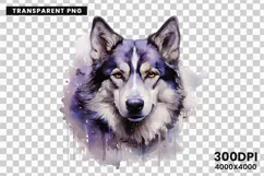 watercolor husky clipart, husky dog png, husky sublimation design, dog clipart watercolor, siberian husky art png, husky printable download, pet lover sublimation, cute husky dog clipart, husky digital illustration, husky dog lover design