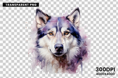 watercolor husky clipart, husky dog png, husky sublimation design, dog clipart watercolor, siberian husky art png, husky printable download, pet lover sublimation, cute husky dog clipart, husky digital illustration, husky dog lover design