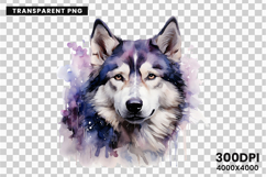 watercolor husky clipart, husky dog png, husky sublimation design, dog clipart watercolor, siberian husky art png, husky printable download, pet lover sublimation, cute husky dog clipart, husky digital illustration, husky dog lover design