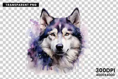 watercolor husky clipart, husky dog png, husky sublimation design, dog clipart watercolor, siberian husky art png, husky printable download, pet lover sublimation, cute husky dog clipart, husky digital illustration, husky dog lover design