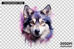 watercolor husky clipart, husky dog png, husky sublimation design, dog clipart watercolor, siberian husky art png, husky printable download, pet lover sublimation, cute husky dog clipart, husky digital illustration, husky dog lover design