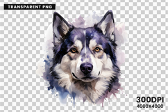watercolor husky clipart, husky dog png, husky sublimation design, dog clipart watercolor, siberian husky art png, husky printable download, pet lover sublimation, cute husky dog clipart, husky digital illustration, husky dog lover design
