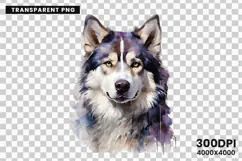 Watercolor Husky Dog Clipart PNG Sublimation Design Product Image 2
