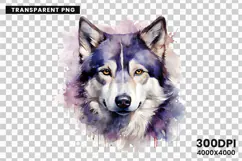 watercolor husky clipart, husky dog png, husky sublimation design, dog clipart watercolor, siberian husky art png, husky printable download, pet lover sublimation, cute husky dog clipart, husky digital illustration, husky dog lover design