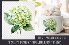 Watercolor Hydrangea Anabelle Sublimation PNG|JPEG Product Image 1