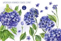 Watercolor Hydrangea Flowers Clipart. Blue hydrangea Product Image 1
