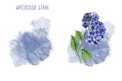 Watercolor Hydrangea Flowers Clipart. Blue hydrangea Product Image 2