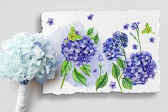 Watercolor garden flowers, hydrangea, roses, tulips Product Image 5