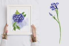 Watercolor Hydrangea Flowers Clipart. Blue hydrangea Product Image 7