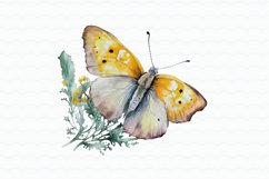 Yellow Butterfly Watercolor Sublimation Product Image 5