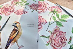 Watercolor Garden Melodies Collection Bundle Product Image 9