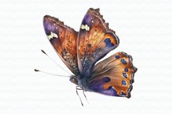 Watercolor Butterfly Flowers Clipart Product Image 5