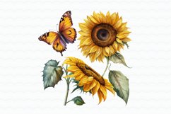 Sunflowers Butterfly Watercolor Sublimation Product Image 5