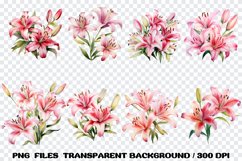 Pink Lily Flowers Watercolor, Bundle Clipart PNG Product Image 3