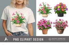 Watercolor Impatiens Flowers In Pots Clipart Product Image 1