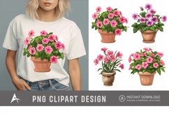 Watercolor Impatiens Flowers In Pots Clipart Product Image 1