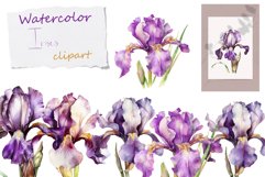 Watercolor flowers clipart, Floral Watercolor irises clipart Product Image 1