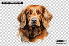 watercolor irish setter clipart, irish setter png, irish setter sublimation design, dog clipart watercolor, setter dog printable art, pet lover sublimation, cute irish setter png, irish setter digital illustration, red setter dog clipart, hunting dog desi