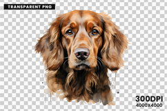 watercolor irish setter clipart, irish setter png, irish setter sublimation design, dog clipart watercolor, setter dog printable art, pet lover sublimation, cute irish setter png, irish setter digital illustration, red setter dog clipart, hunting dog desi