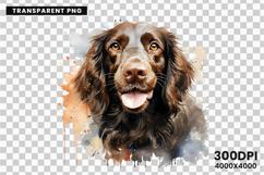 watercolor irish setter clipart, irish setter png, irish setter sublimation design, dog clipart watercolor, setter dog printable art, pet lover sublimation, cute irish setter png, irish setter digital illustration, red setter dog clipart, hunting dog desi