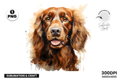watercolor irish setter clipart, irish setter png, irish setter sublimation design, dog clipart watercolor, setter dog printable art, pet lover sublimation, cute irish setter png, irish setter digital illustration, red setter dog clipart, hunting dog desi