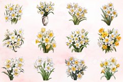 Watercolor Jonquil Sublimation Clipart Bundle Product Image 2