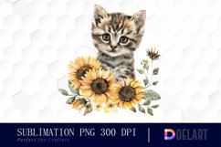 Kitten Sunflower Graphics Clipart Product Image 1
