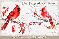 Winter Cardinal PNG Christmas watercolor sublimation clipart Product Image 1