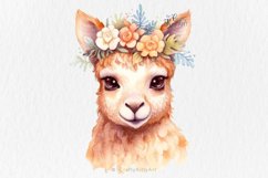 Baby Llama Alpaca with flower crown, Watercolor Sublimation Product Image 1