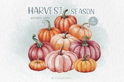 Pumpkin PNG Clipart, Vintage Watercolor Pile of Pumpkins Product Image 1