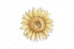Watercolor Sunflower clipart, single Sunflowers PNG clip art Product Image 2