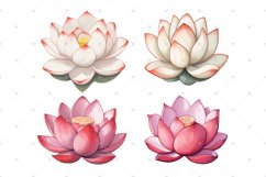 Lotus flower, Water lily, Watercolor floral PNG clipart Product Image 2