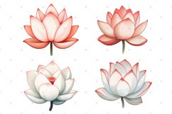 Lotus flower, Water lily, Watercolor floral PNG clipart Product Image 2