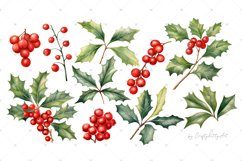 Christmas Holly berries &amp; leaves, Watercolor PNG clipart Product Image 2