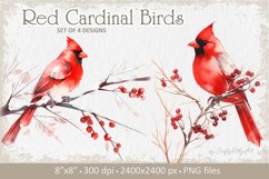 Winter Cardinal PNG Christmas watercolor sublimation clipart Product Image 2