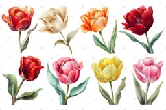 Tulips Watercolor PNG clipart, Watercolor sublimations Product Image 2